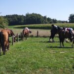 Tagesritt September 2015 134