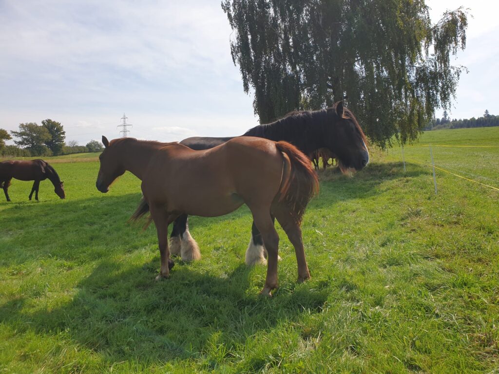 84ebe8d4 3e17 4399 Bf33 0469314c5e03 84ebe8d4-3e17-4399-bf33-0469314c5e03