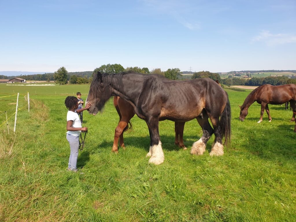 8b8ed776 F46e 4e51 B667 0e724b82be2e 8b8ed776-f46e-4e51-b667-0e724b82be2e