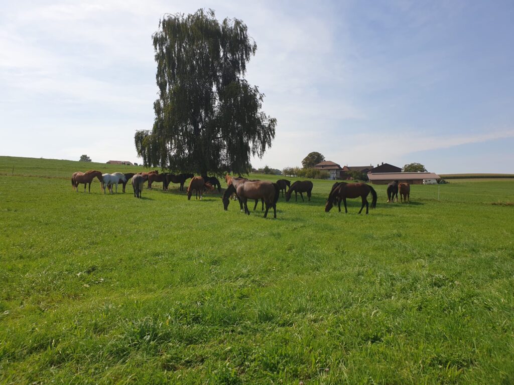 PHOTO 2020 09 16 21 12 36 PHOTO-2020-09-16-21-12-36