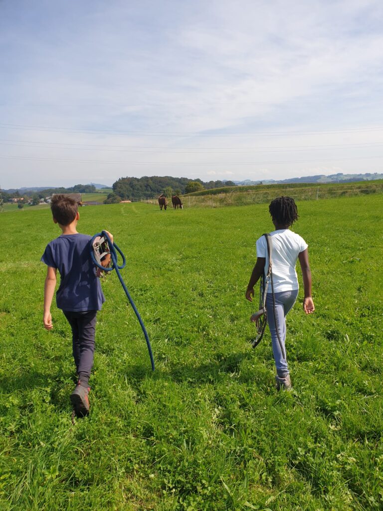 PHOTO 2020 09 16 21 12 37 1 PHOTO-2020-09-16-21-12-37-1