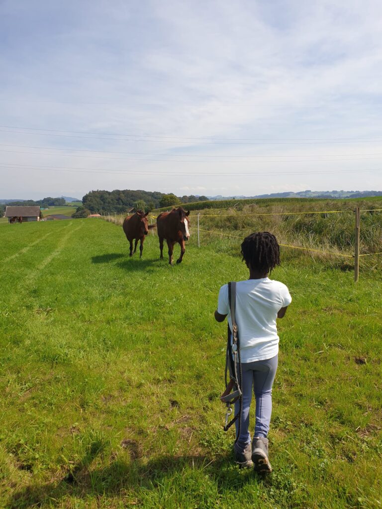 PHOTO 2020 09 16 21 12 37 2 PHOTO-2020-09-16-21-12-37-2