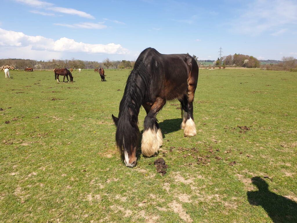 PHOTO 2020 09 16 21 28 45 PHOTO-2020-09-16-21-28-45